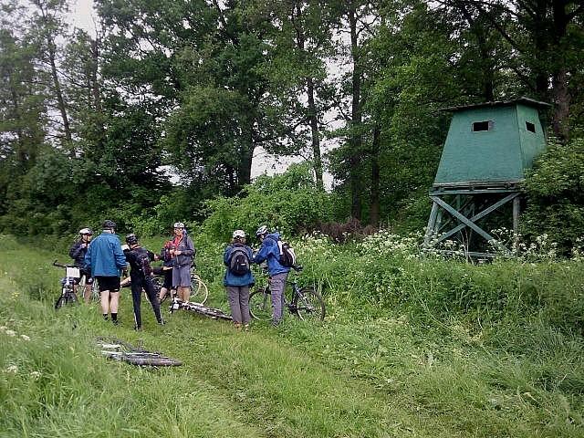 WaypointRace 2011, PK 13