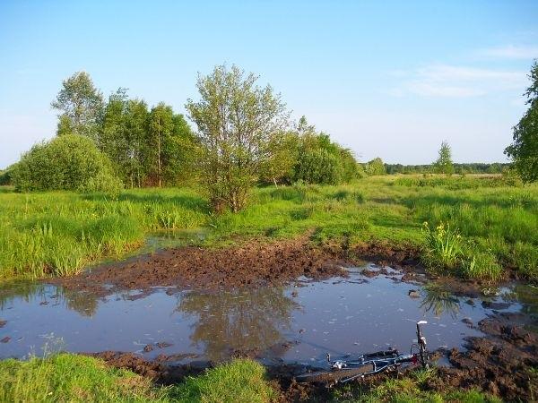 Błotna przeprawa