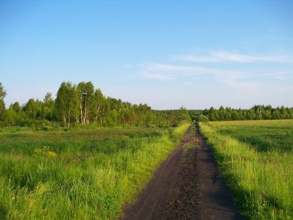 Szutrówka przez Małockie Łąki