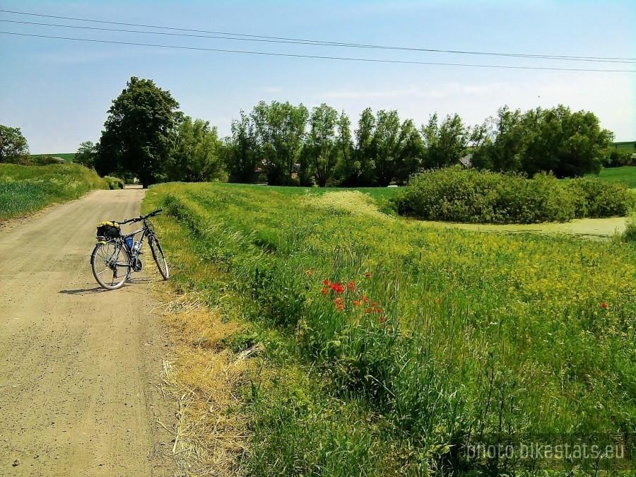 Takie widoki oglądałem dzisiaj na trasie.