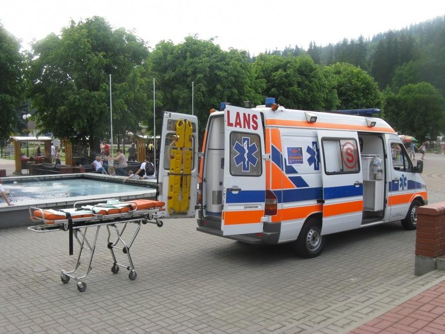 Karetka