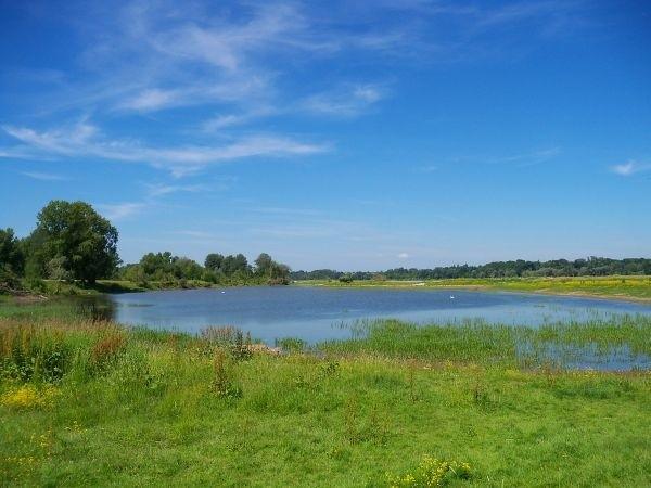 Starorzecze