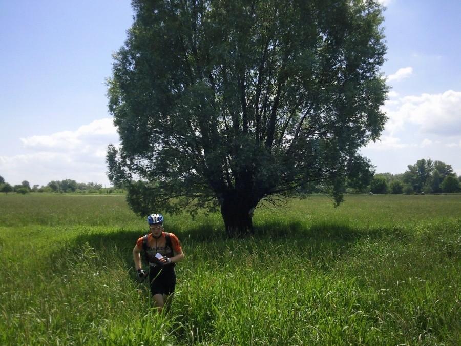 Złoto dla zuchwałych 2011