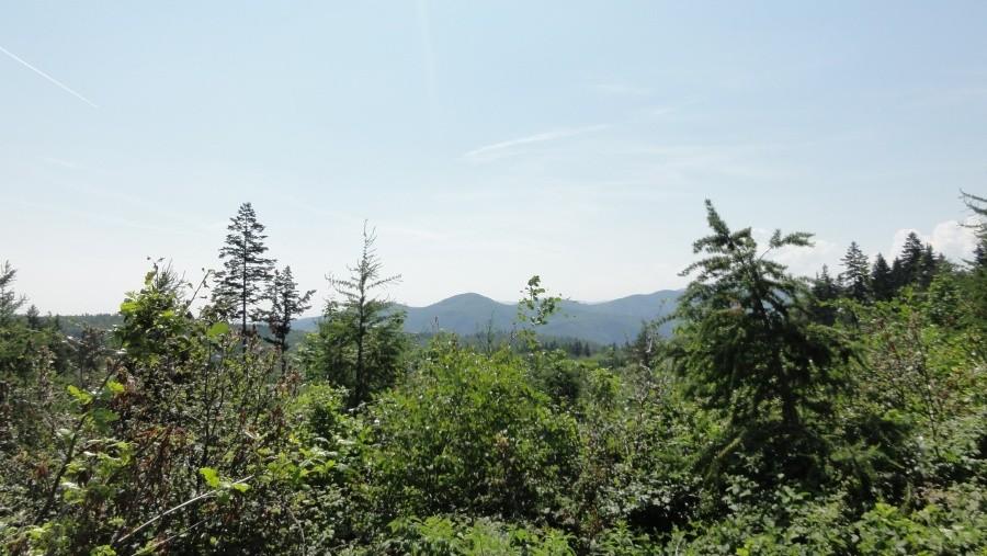 Panorama gór bardzkich