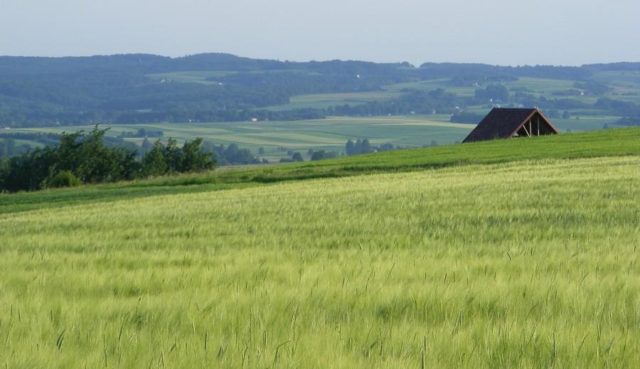 Pola po raz drugi