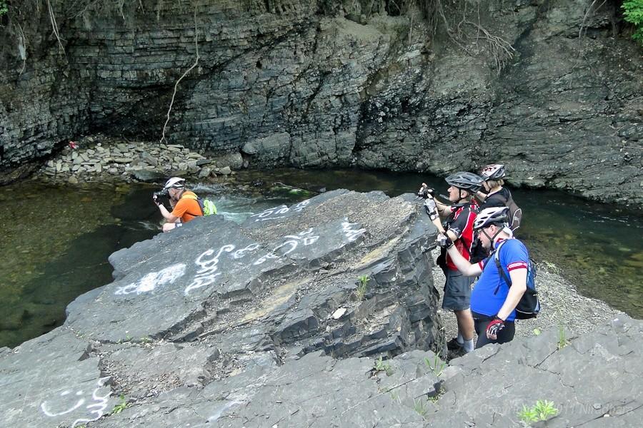 focenie - 4