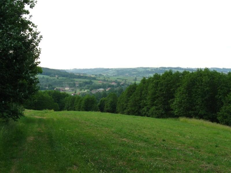 Niebieski do Kielnarowej.