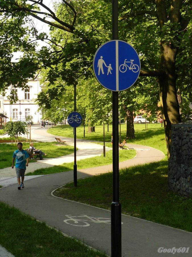 Zakrecona ścieżka rowerowa