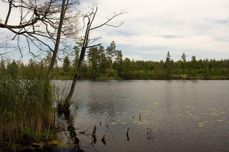 Jezioro Tatary Wielkie
