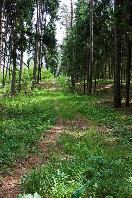 Okolice Tatarskiej Góry