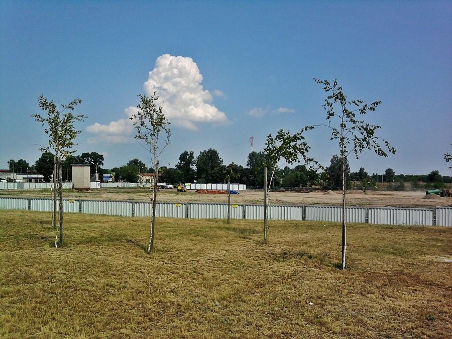 Budowa marketu