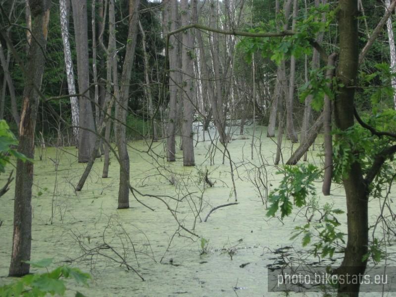 Park Krajobrazowy Promno - niezłe bagno :-)