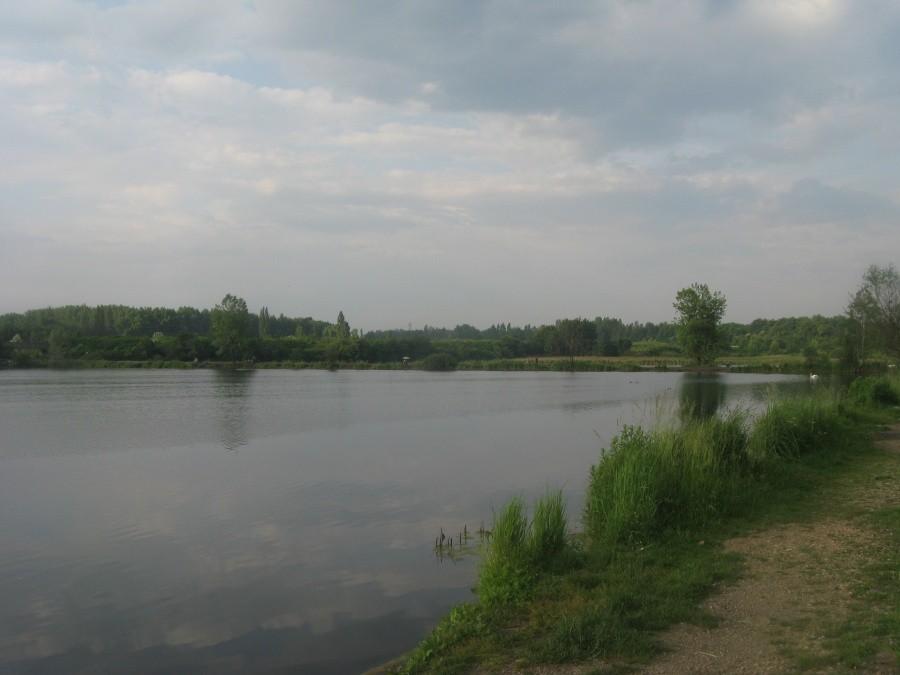 Zabie Doły