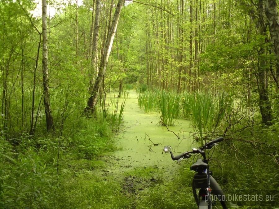 Chojnowski Park Krajobrazowy - żółty szlak rowerowy