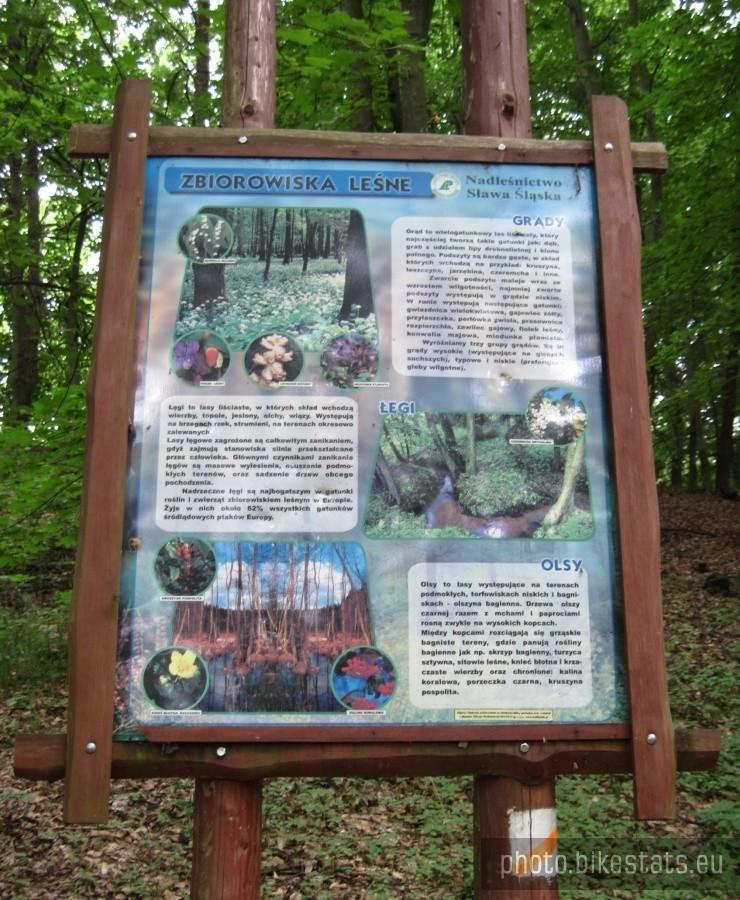 Jedna z tablic na szlaku ścieżki przyrodniczej "Wzgórza Pszczółkowskie"