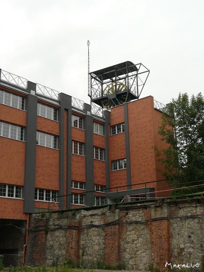 Krółowa Luiza z innej strony