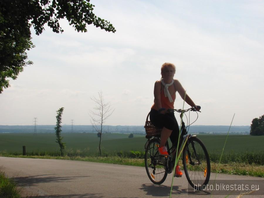 pomarańczowe espedeki