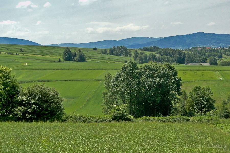 widoczek 1