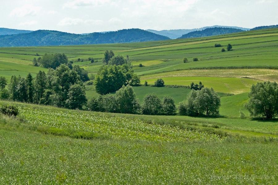 widoczek 3