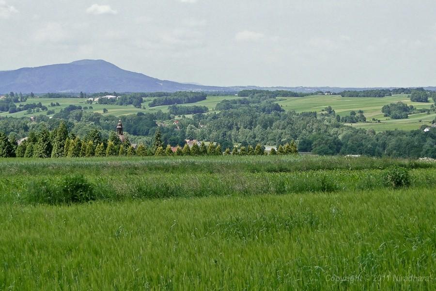 widoczek 5