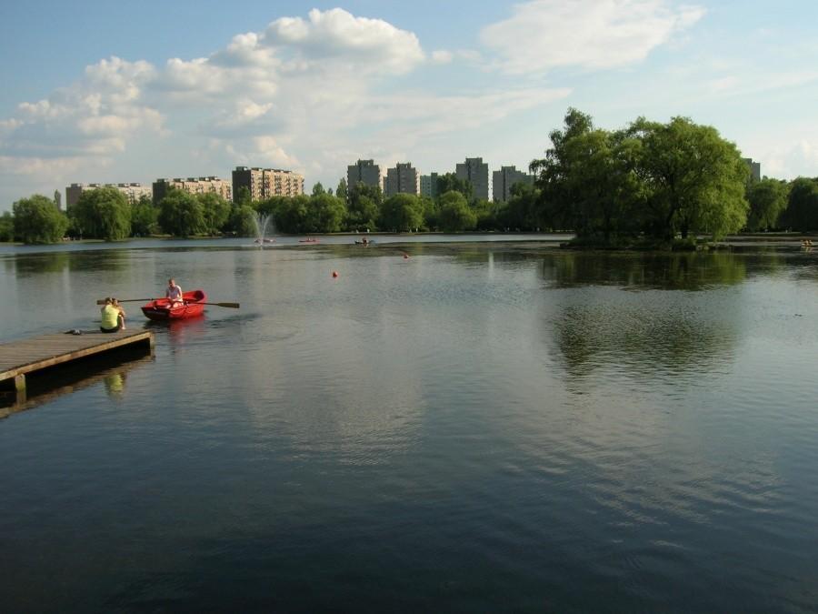 staw parkowy