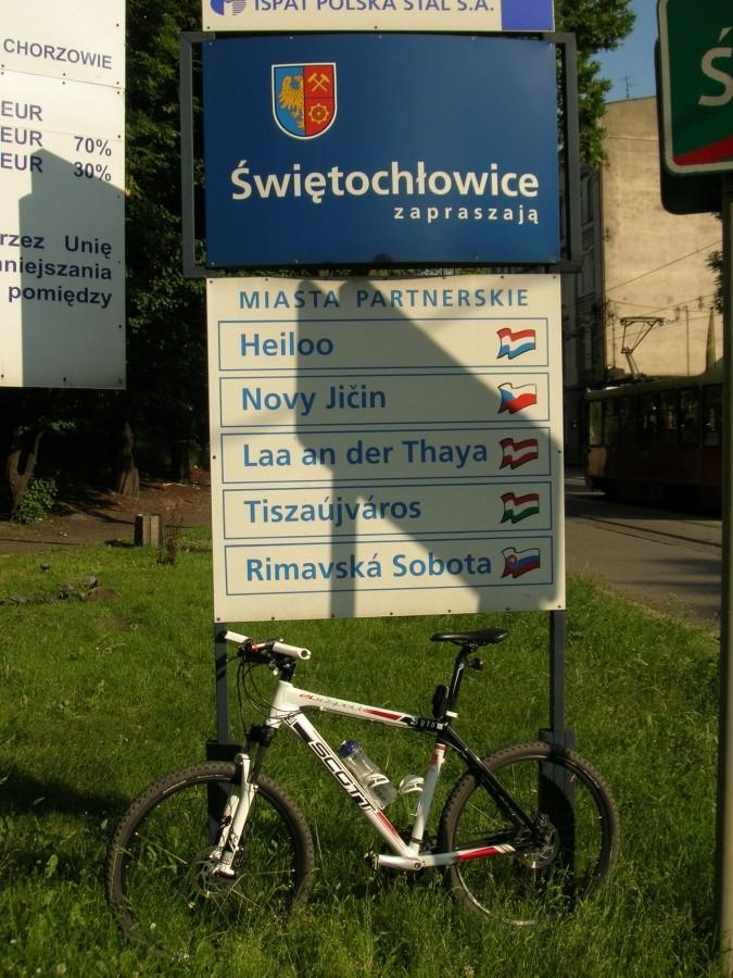 witacz