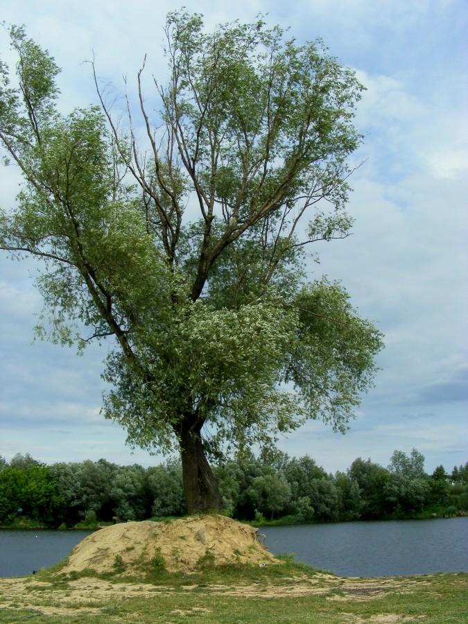 Nad Żwirownią w Rzeszowie