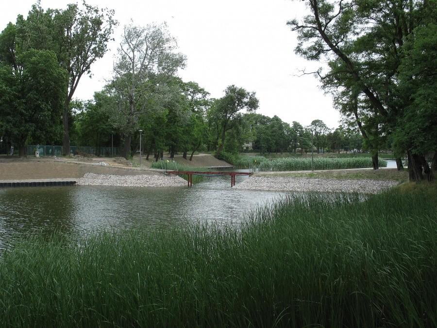 Glinianka Cietrzewia