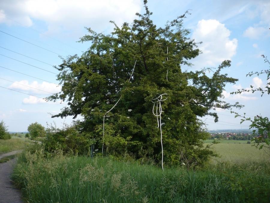 Ktoś miał pomysł?