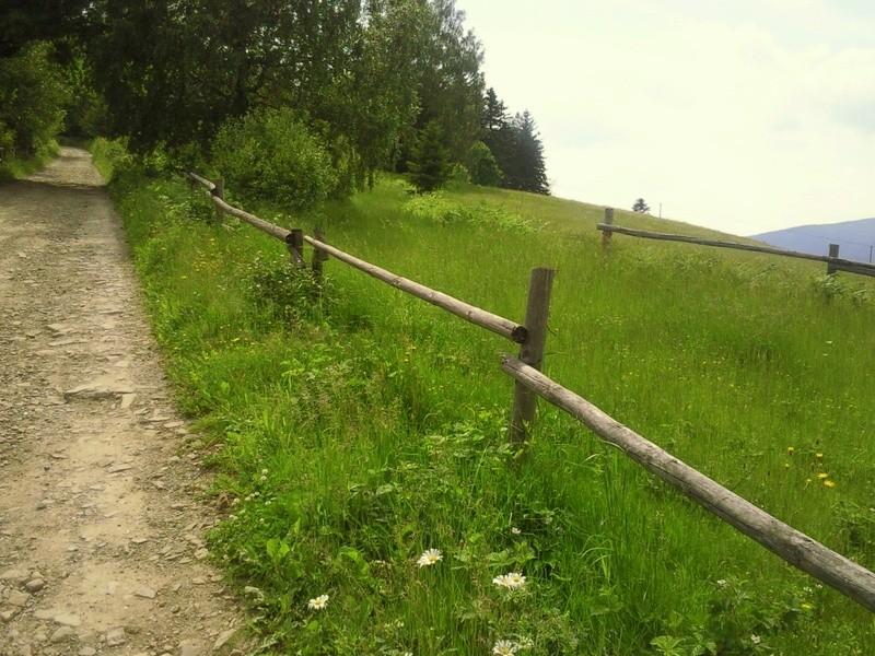 Niebieski szlak