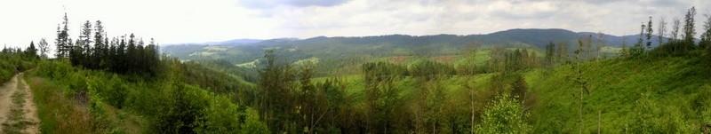 Zółty szlak