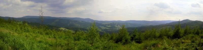 Zolty szlak