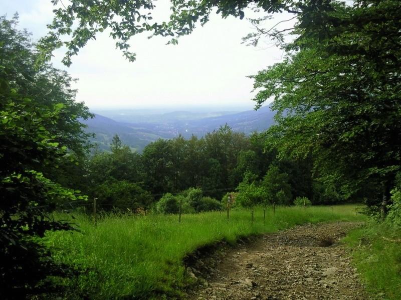 Widok na brenna