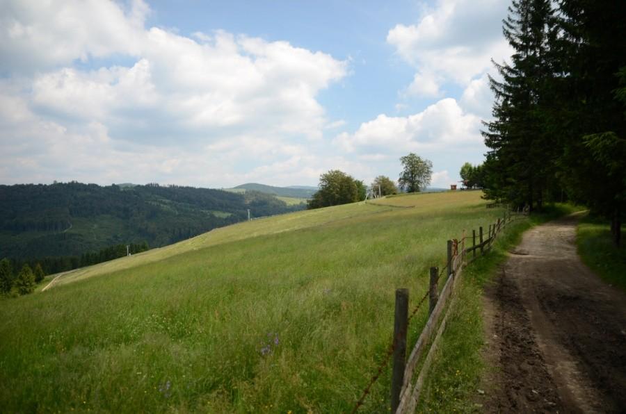 Na szlaku w okolicach Trzech Kopców Wiślańskich