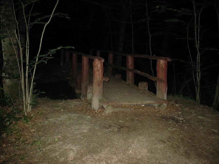 Las Kabacki - mostek nad stawami