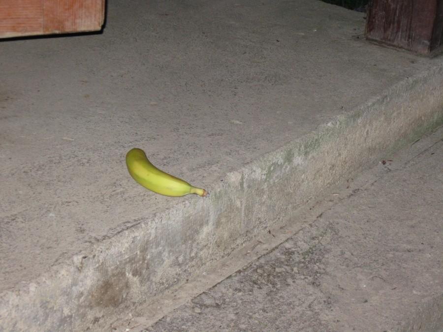 Porzucony banan :D