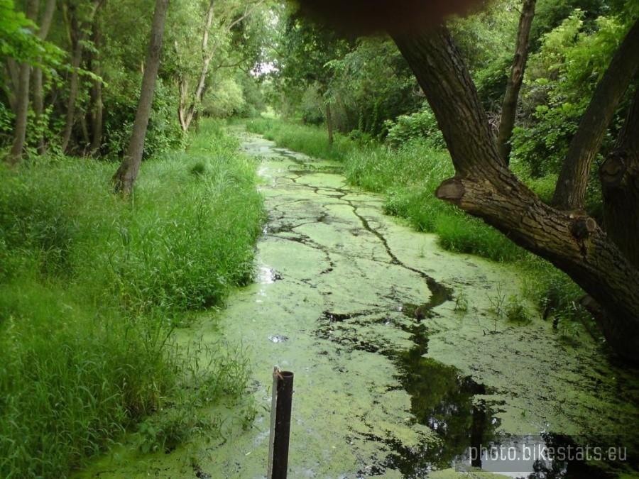 Wilanówka