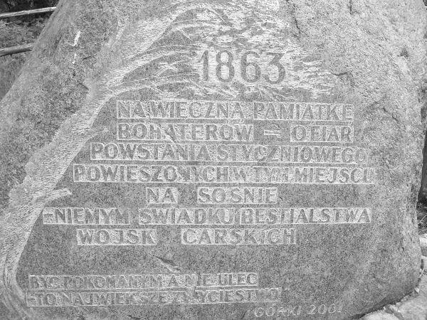 Kamień koło Sosny
