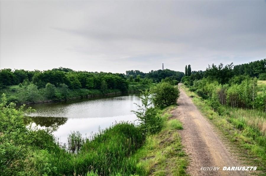 Zespół przyrodniczo-krajobrazowy "Żabie Doły"