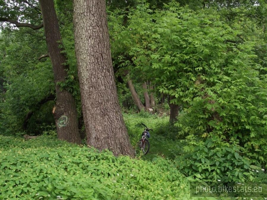 Park przy tężni