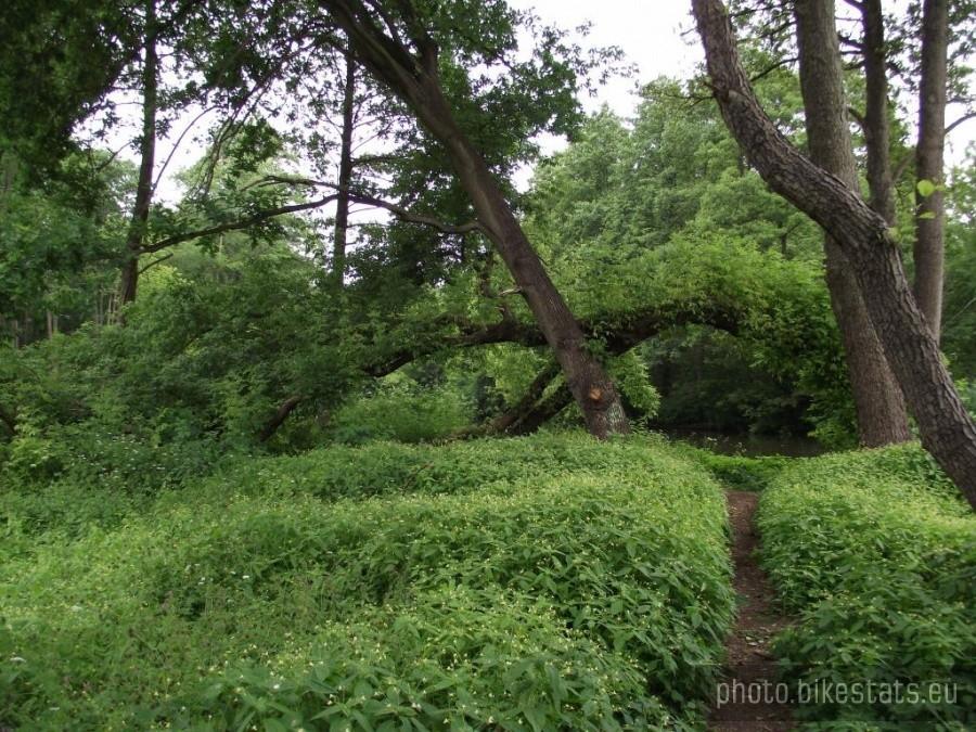 Park przy tężni