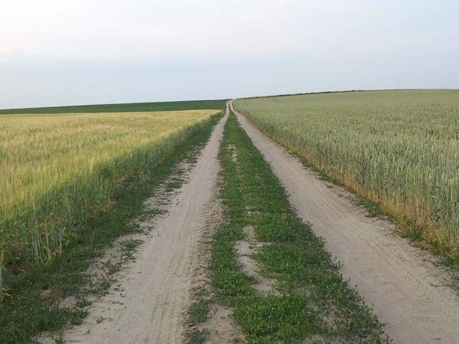 Górska "premia" AMT 106 mnpm