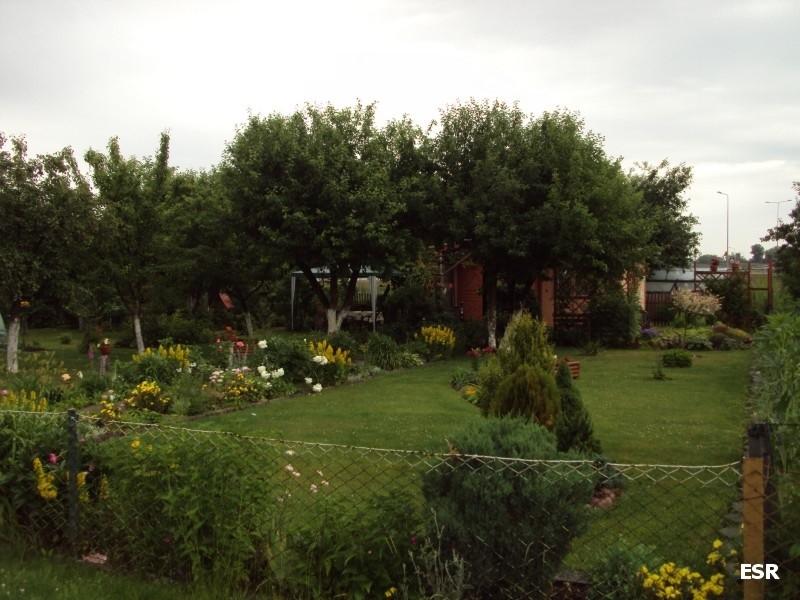 Działka Dareckiego
