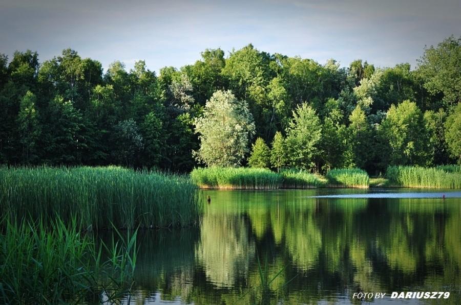 Sosnowiec - Balaton