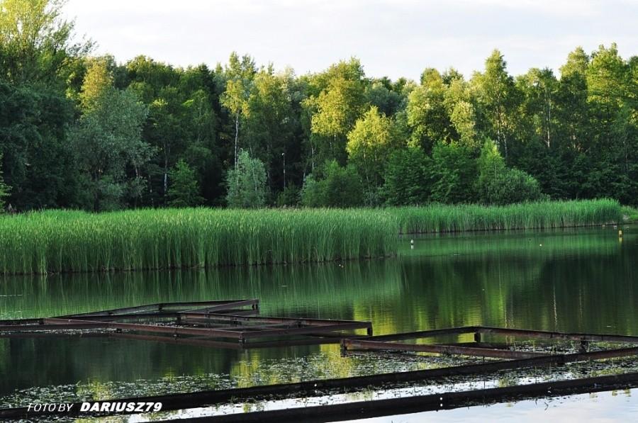 Sosnowiec - Balaton