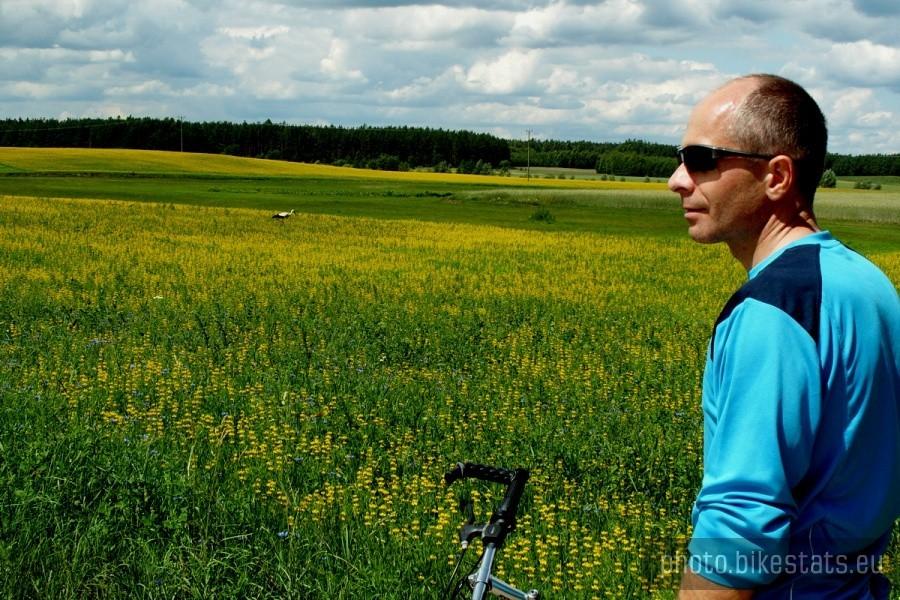 Żółte pole- ale nie był to rzepak