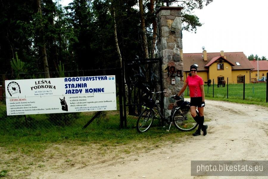 Najpiękniejsza stadnina koni w naszej okolicy