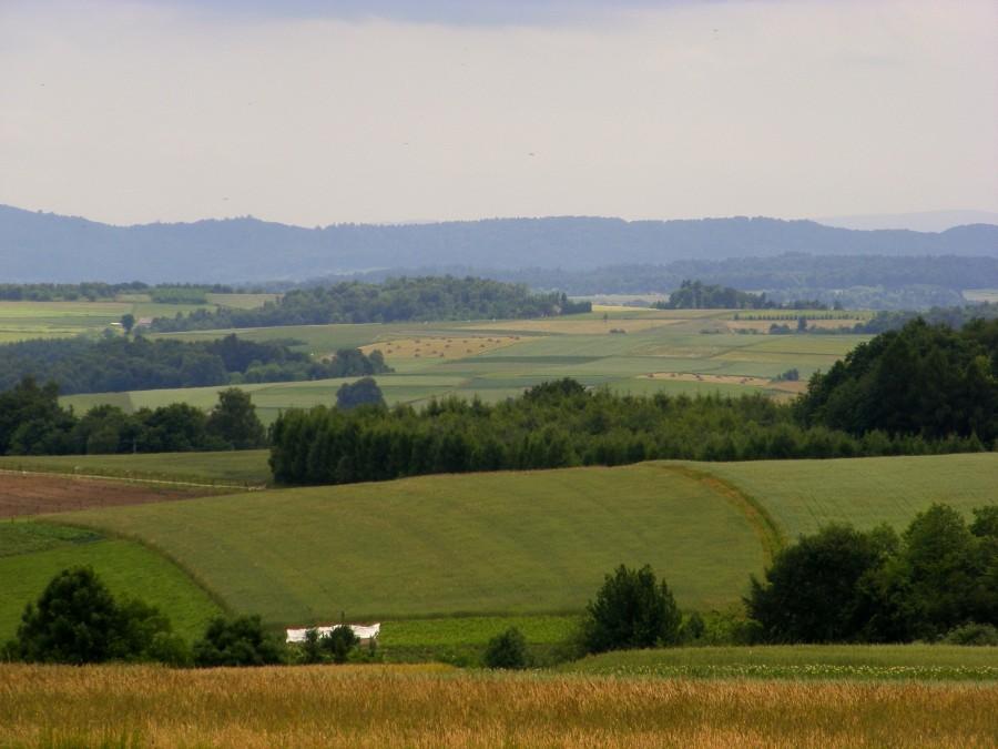Widoki z Pyrówek