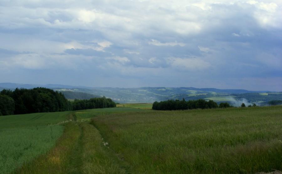 Jazda przez pola w stronę Nowej Wsi