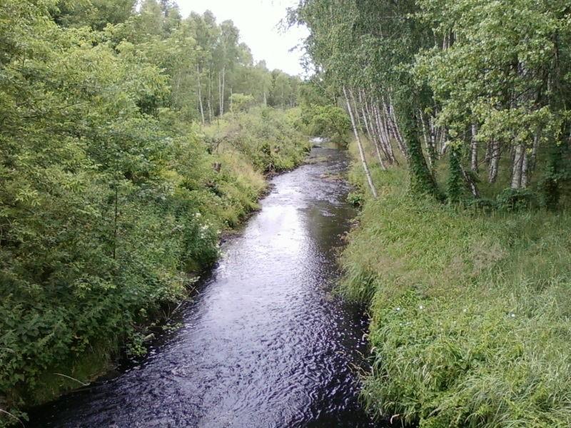Bzura